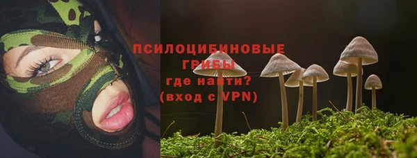 ALPHA PVP Белокуриха