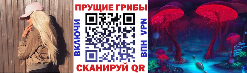 купить наркотики цена  Шагонар  Галлюциногенные грибы MAGIC MUSHROOMS 